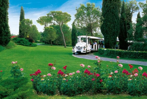 Tulipanomania al Parco Sigurtà - immagine 2