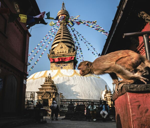 Nepal: i segreti dell'Himalaya - immagine 7