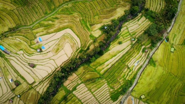 Indonesia: il paese delle 17 mila isole - immagine 17